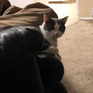 Meet your Posher, Hallie